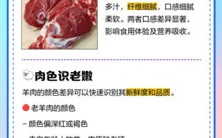 老羊肉好吃吗（老羊肉好吃吗什么味道）