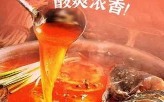 白酸汤火锅鱼的做法（自制酸汤鱼火锅的做法）