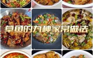 家常槽鱼的做法（槽鱼怎样做）