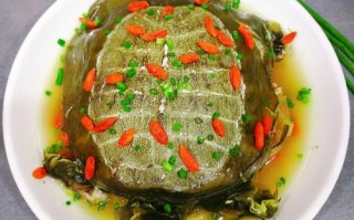 龟肉好吃吗（龟肉有营养吗）