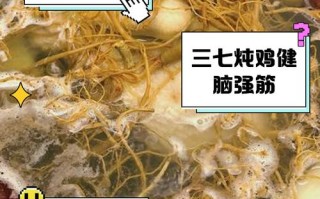 三七煲鸡汤的做法大全（三七 鸡汤）