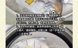 鲳鱼做法（冷冻鲳鱼做法）
