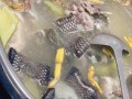 龙虎凤的做法（名菜龙虎凤）
