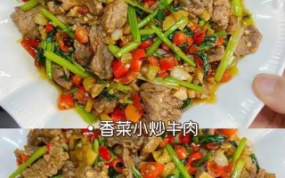 青椒肉丝炒红烧牛肉的做法（牛肉丝炒青红椒的做法大全）