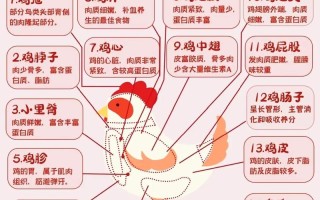 奉化白斩鸡做法（宁波白斩鸡的做法）