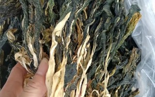 白菜干怎么做好吃（白菜干怎么做好吃又简单）