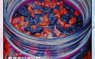 桑葚泡酒做法（桑葚泡酒做法大全）