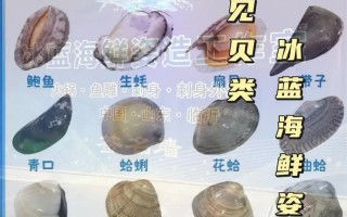什么贝类好吃（什么贝类最鲜）