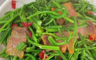 水蕨菜怎么做好吃（水蕨菜的功效与作用）