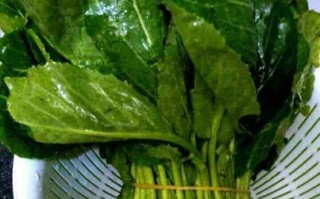 发泡竹笋炒肉做法（竹笋的发泡）