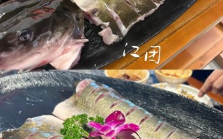 酸汤鱼面的做法（酸汤鱼面图片）