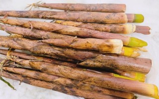绿竹笋炒肉做法（绿竹笋炒肉做法窍门）
