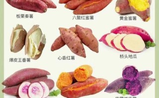 哪种红薯比较好吃（哪种红薯比较好吃最甜）