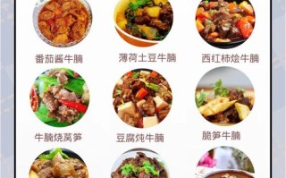 牛腩的家常做法大全（牛腩的家常做法大全窍门）