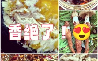 炸鸡枞油的做法（炸鸡枞油的做法视频）