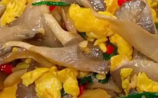 蘑菇炒鸡蛋的做法（蘑菇炒鸡蛋的做法家常）
