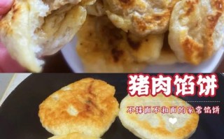 猪肉馅饼的做法（猪肉馅饼的做法视频）