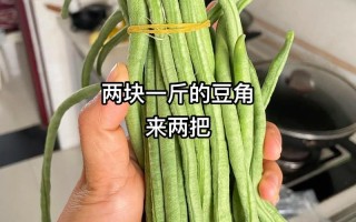 泡酸辣豆角的做法大全（泡酸辣豆角的做法大全视频）