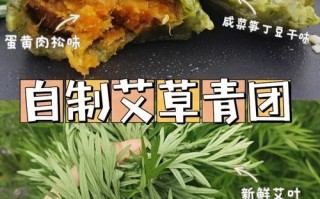 艾叶怎么做好吃（艾叶怎么做好吃及功效）