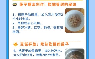 莲子的家常做法（莲子的家常做法大全）