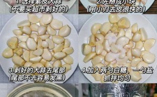 泡蒜的做法大全（家常泡蒜做法大全集窍门）