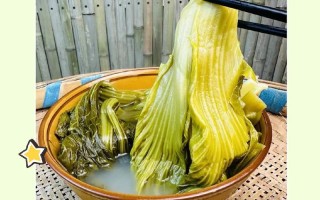 泡青菜的做法（泡青菜的做法视频教程）