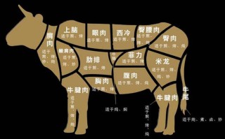 培根青椒炒牛肉的做法大全（培根炒青椒怎么做好吃窍门）