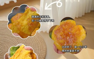 玉米浆做法（玉米浆做法视频）