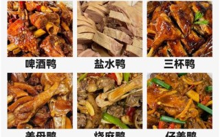 家常鸭肉的做法大全家常（鸭肉的家常做法视频）