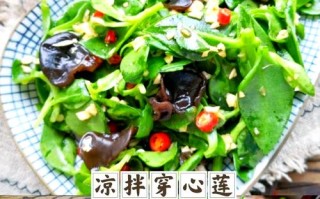 凉拌穿心莲的做法大全（穿心莲凉拌菜做法大全）
