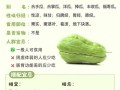 福尔瓜怎么做好吃（福尔瓜的功效与作用）