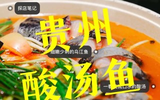 贵州酸汤鱼农村做法大全（贵州酸汤鱼的做法 最正宗的做法视频）