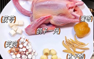 清炖鸽子做法（清炖鸽子的比较好做法鸽子肉）