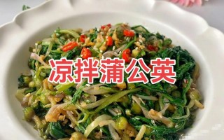 婆婆丁的做法大全（婆婆丁吃法和做法的资料）