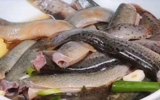 什么草好吃（什么草好看又好养）
