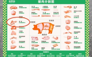 猪的哪个部位比较好吃（猪那个部位的肉好）
