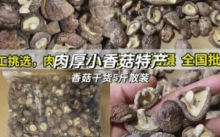 香菇根做法大全家常做法（香菇根的做法大全窍门）
