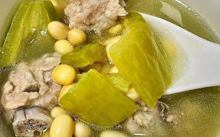 苦瓜黄豆骨头汤的做法（苦瓜黄豆骨头汤的做法和功效）