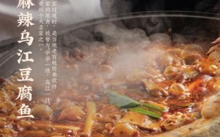 成都酸汤乌江鱼做法（酸汤乌鱼汤的做法）