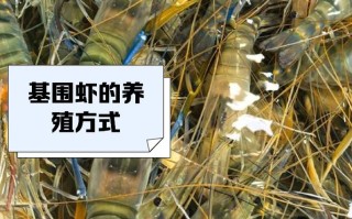 蒜蓉水晶虾的做法（水晶虾做法大全）