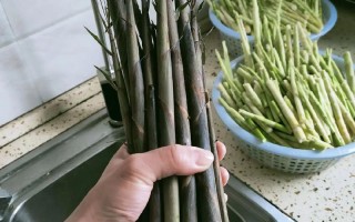 冷冻小竹笋炒肉的做法大全（冷冻竹笋怎么吃）
