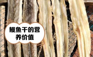 鳗鱼干好吃吗（鳗鱼干尽量少吃比较好不吃）