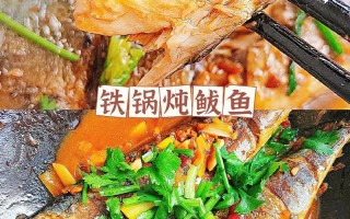鲅鱼怎么做比较好吃（酱焖鲅鱼怎么做比较好吃）