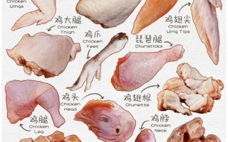 芋头白斩鸡做法（白芋头的做法大全家常）