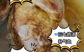 田七炖鸽子的做法大全（田七鸽子汤的做法和功效窍门）