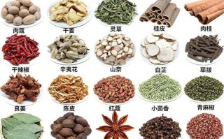 鸟肉怎么做好吃（野生鸟怎么烧吃比较好）