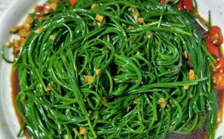 沙葱做法（沙葱菜谱）