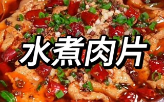 水煮肉片的家常做法窍门（水煮肉片的做法 最正宗的做法视频）