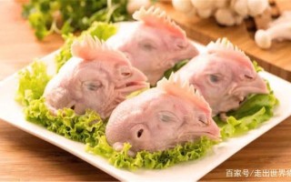 东莞酸汤鱼做法（酸汤鱼的吃法）