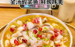 酸汤鱼蘸水的做法大全（酸汤鱼蘸水怎么做好吃）